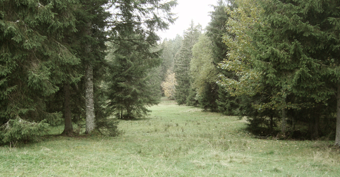 Luzi de Beaufort Rockwell 1433