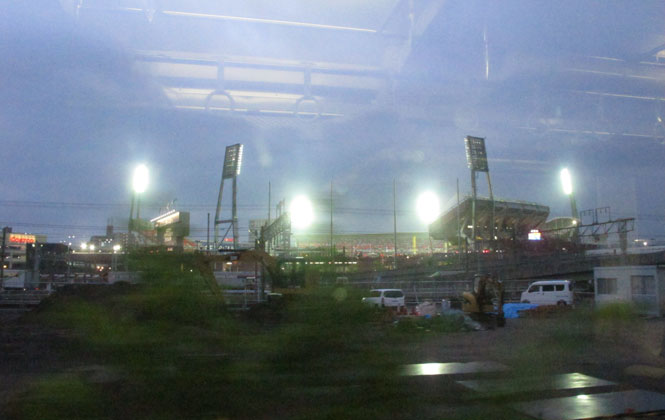 8715 Tricot kurzarm Luzi de Beaufort