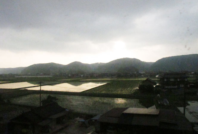 8715 Tricot kurzarm Luzi de Beaufort