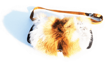 9260 Bokufish Luzi de Beaufort