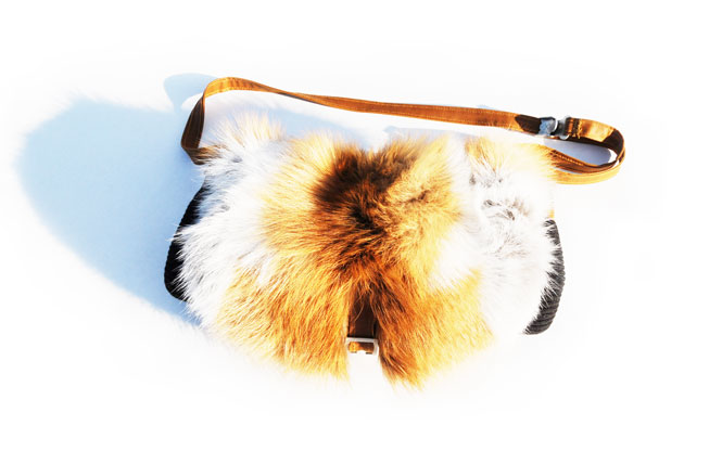 9260 Bokufish Luzi de Beaufort