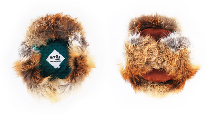 9511 Arctic Luzi de Beaufort