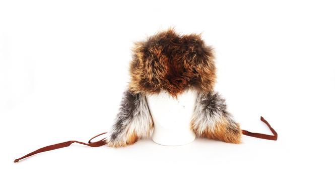 9511 Arctic Luzi de Beaufort